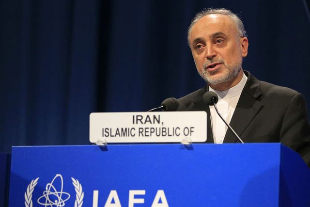 Iran's Atomic Energy Organization president Ali Akbar Salehi said authorities had made the arrests at "exactly the right time."