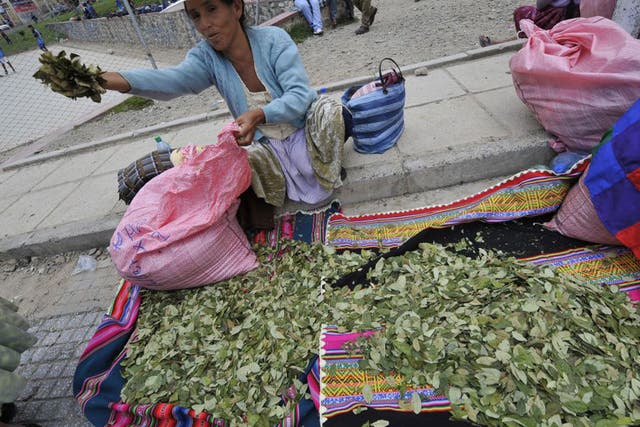A woman sells coca leaves in La Paz, Bolivia, where the plant has traditionally had medicinal purposes