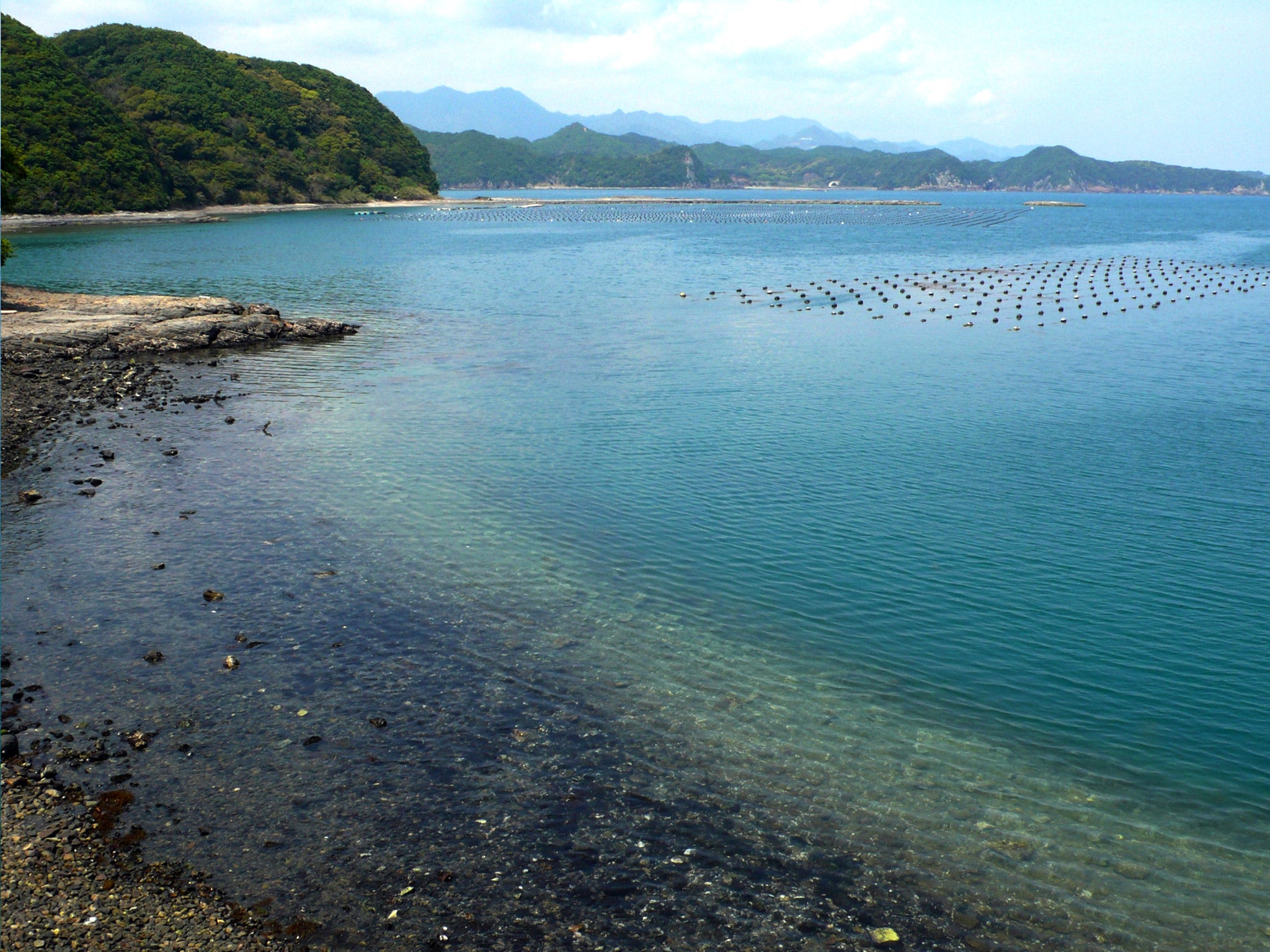 A cove in Taiji where there are plans to open a marine park (Getty)