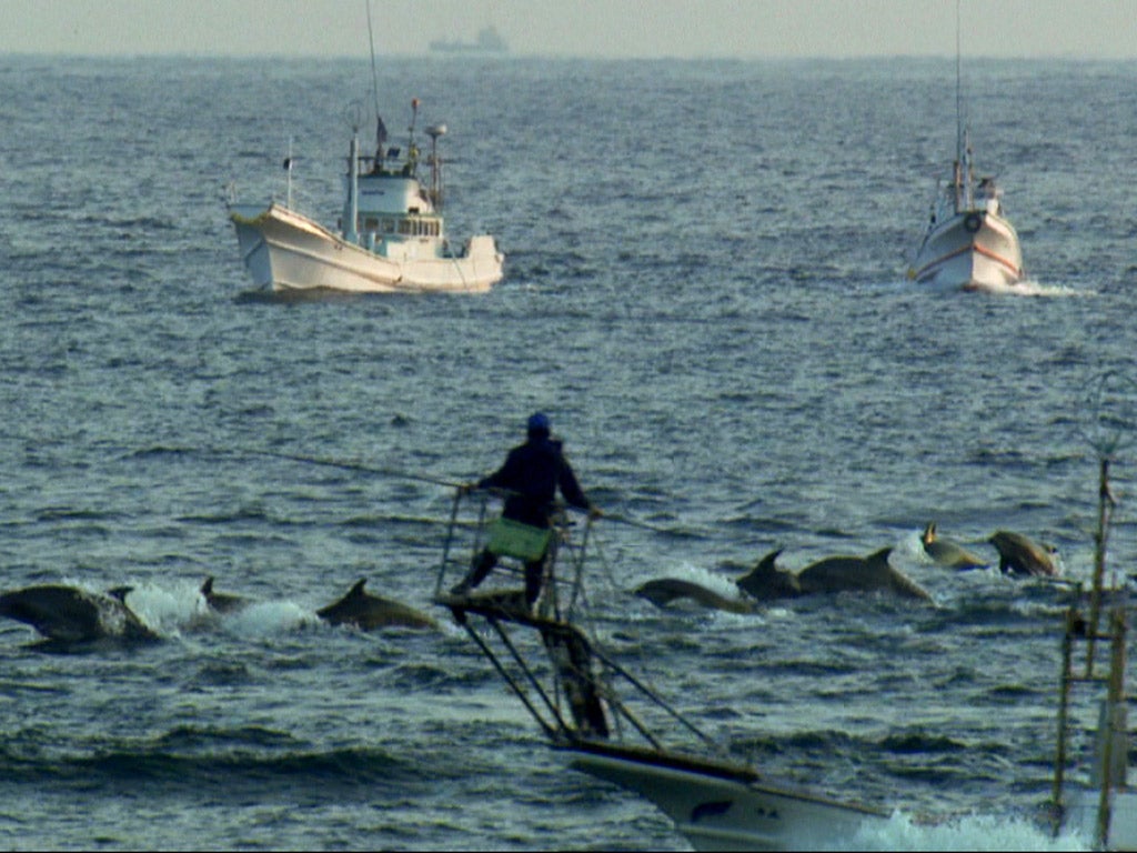 A scene from the Oscar-winning documentary ‘The Cove’, showing dolphin hunters off the coast of Taiji