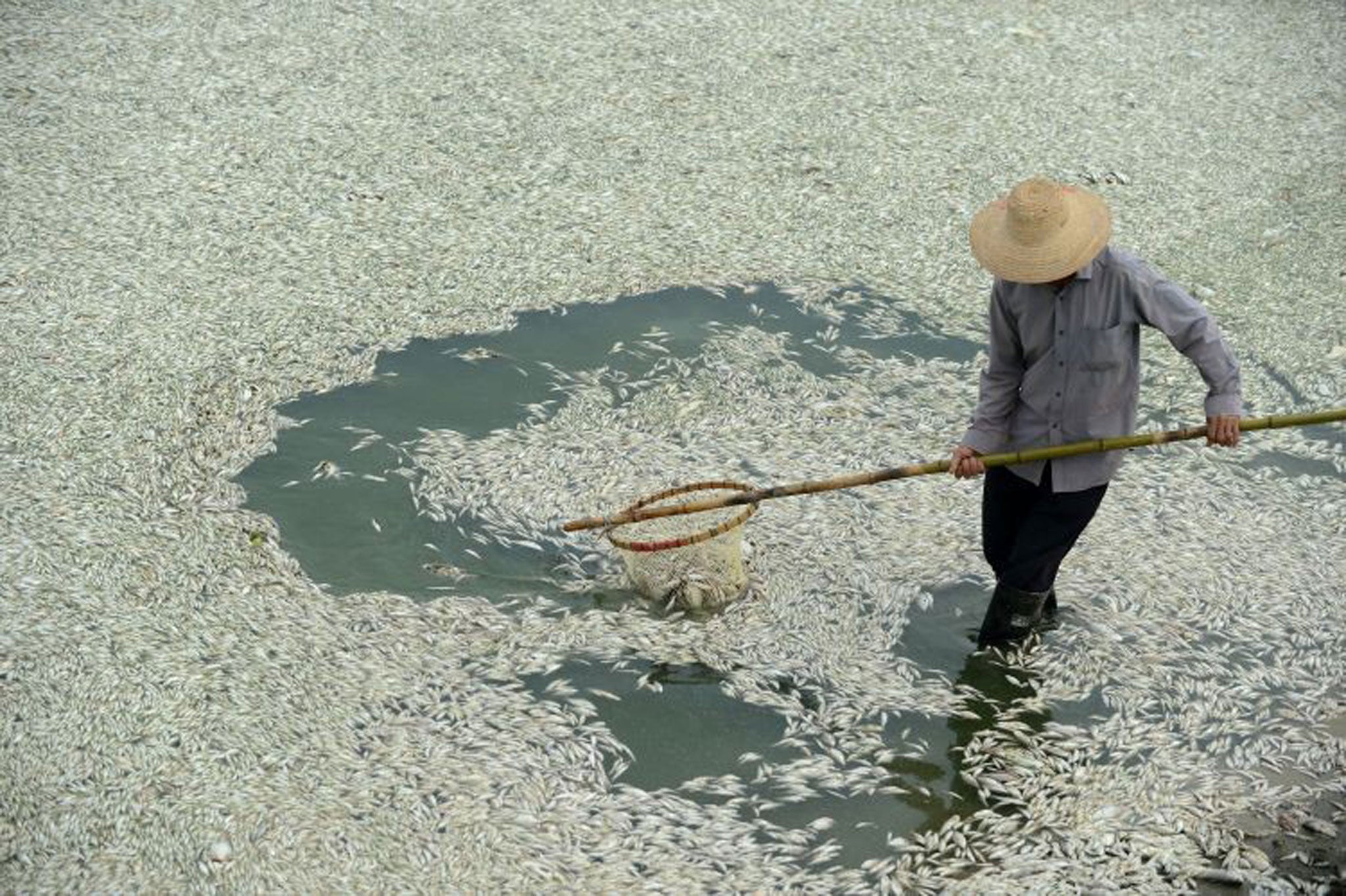 Clean up: nearly 20 per cent of all of China's rivers are now so polluted that they are unsafe to touch