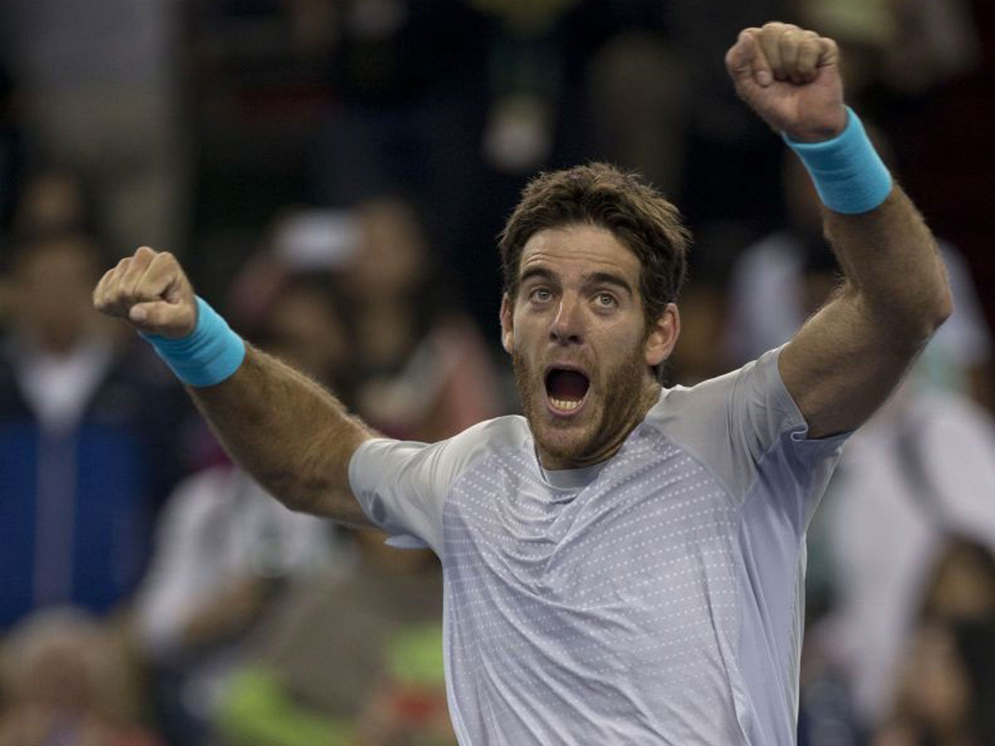Jumping for joy: Juan Martin del Potro savours his thumping 6-2, 6-4 victory