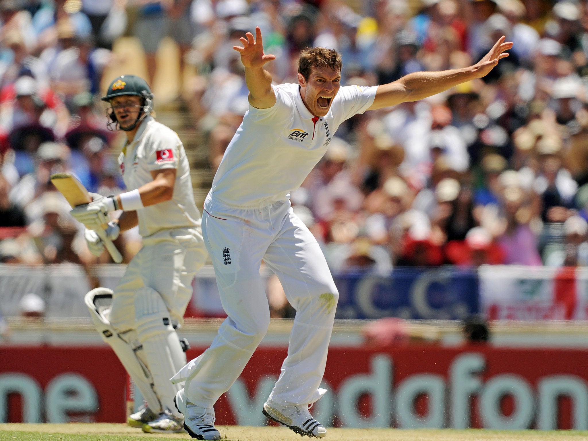 Chris Tremlett appeals for lbw against Shane Watson at the Waca in Perth in 2010