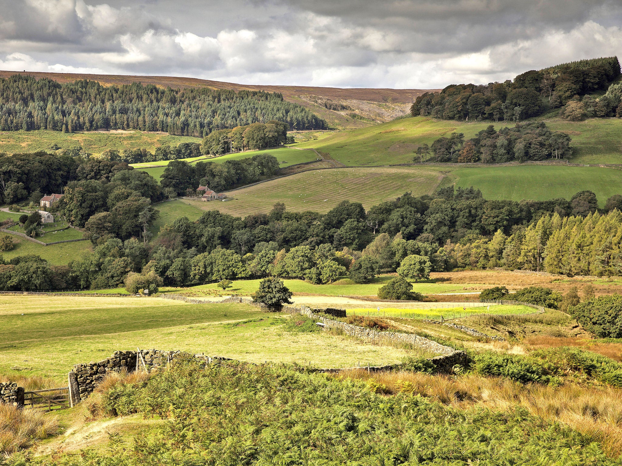 The Campaign for National Parks said the developments are in 'danger of destroying the integrity' of the North York Moors