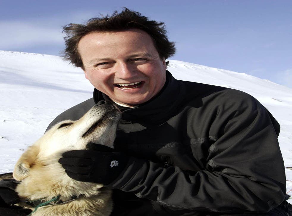 David Cameron, here hugging a husky, has been accused of backtracking on green policies