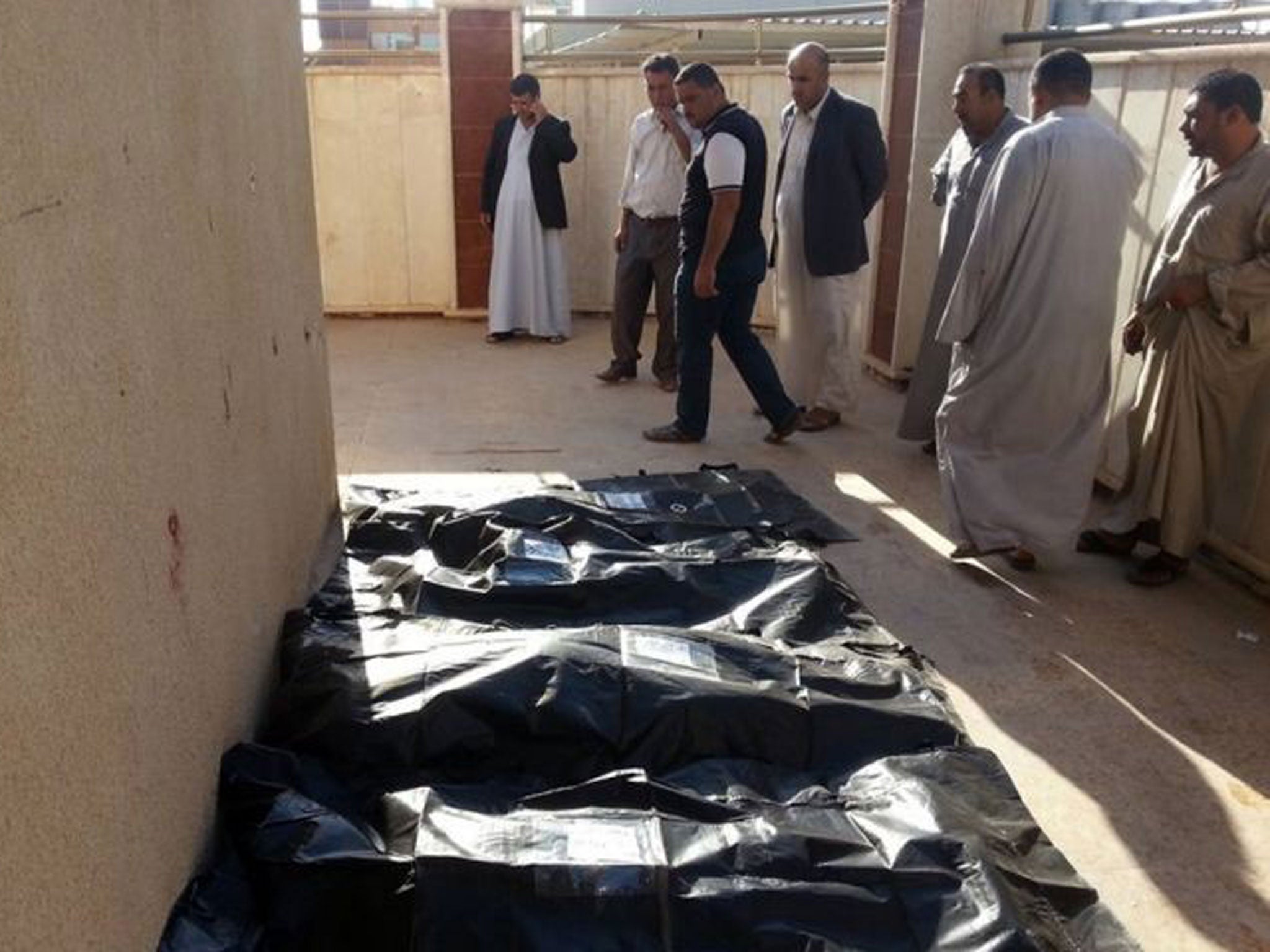 Bodies of victims killed in a suicide attack that tore through a residential area of Al-Muwaffaqiyah, a village east of Mosul, lined up for identification on 17 October, 2013