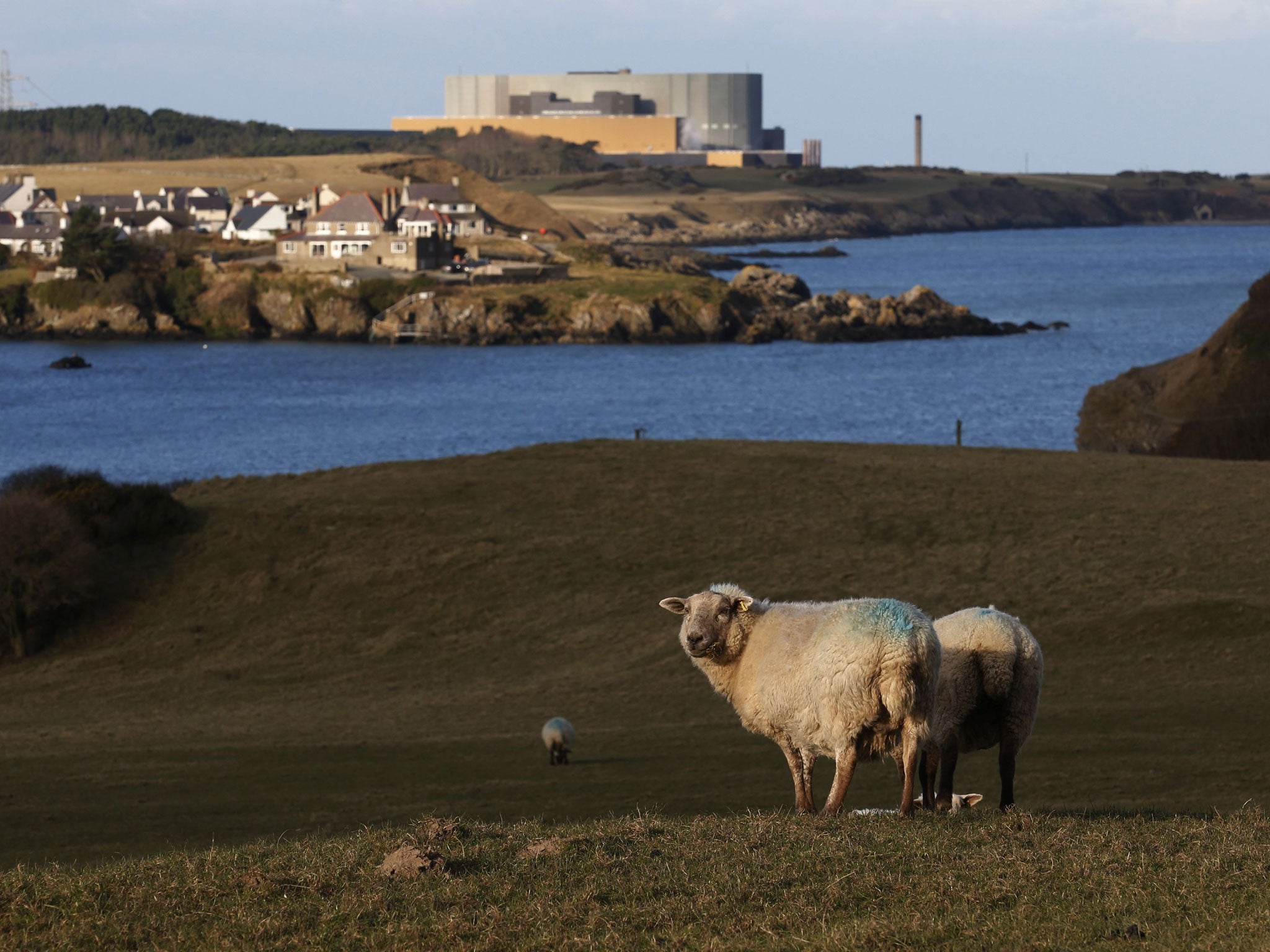 Wylfa nuclear station in Cemaes, Wales could now be backed by Chinese investors