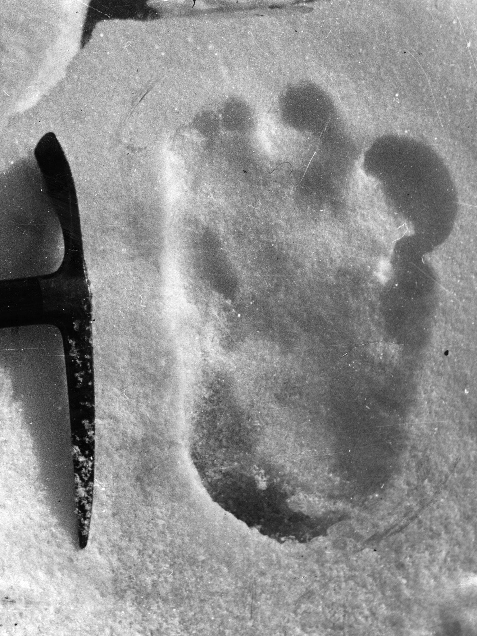 A Yeti's 'footprint'