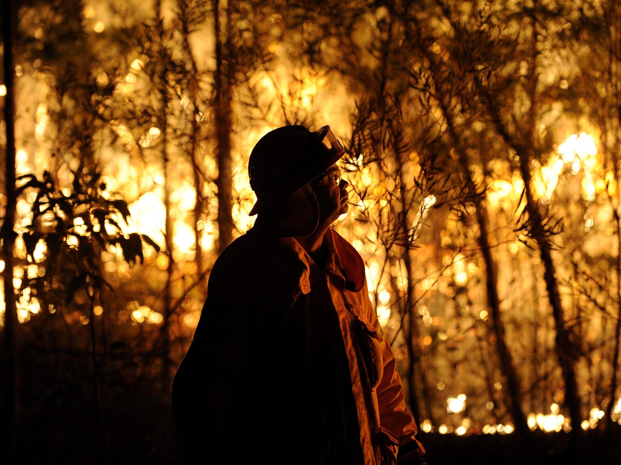 A New South Wales' RFS fire fighter looks at a bushfire burning