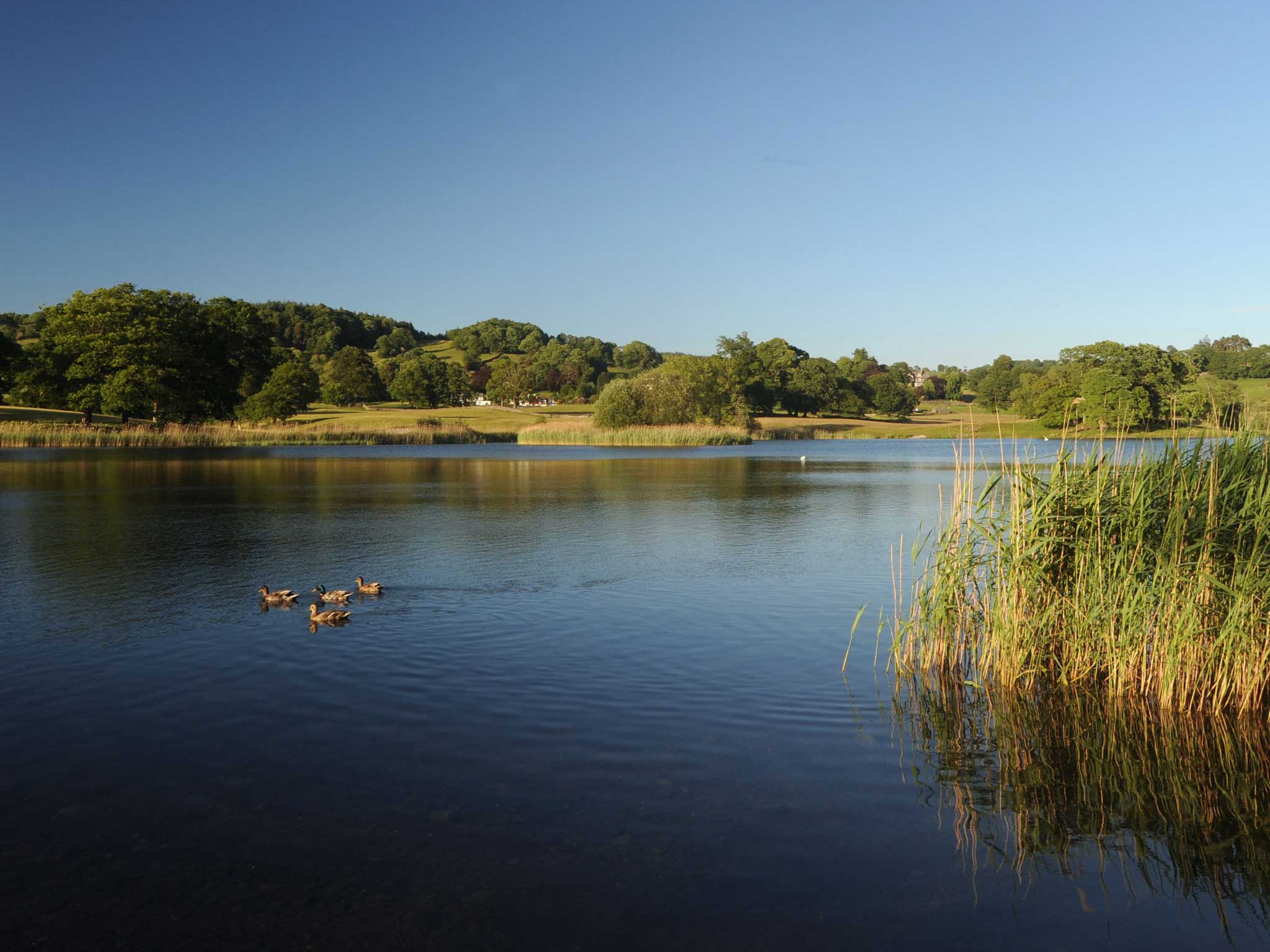 Esthwaite Water is up for sale on Ebay