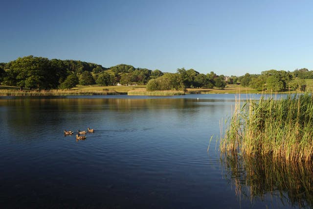 Esthwaite Water is up for sale on Ebay