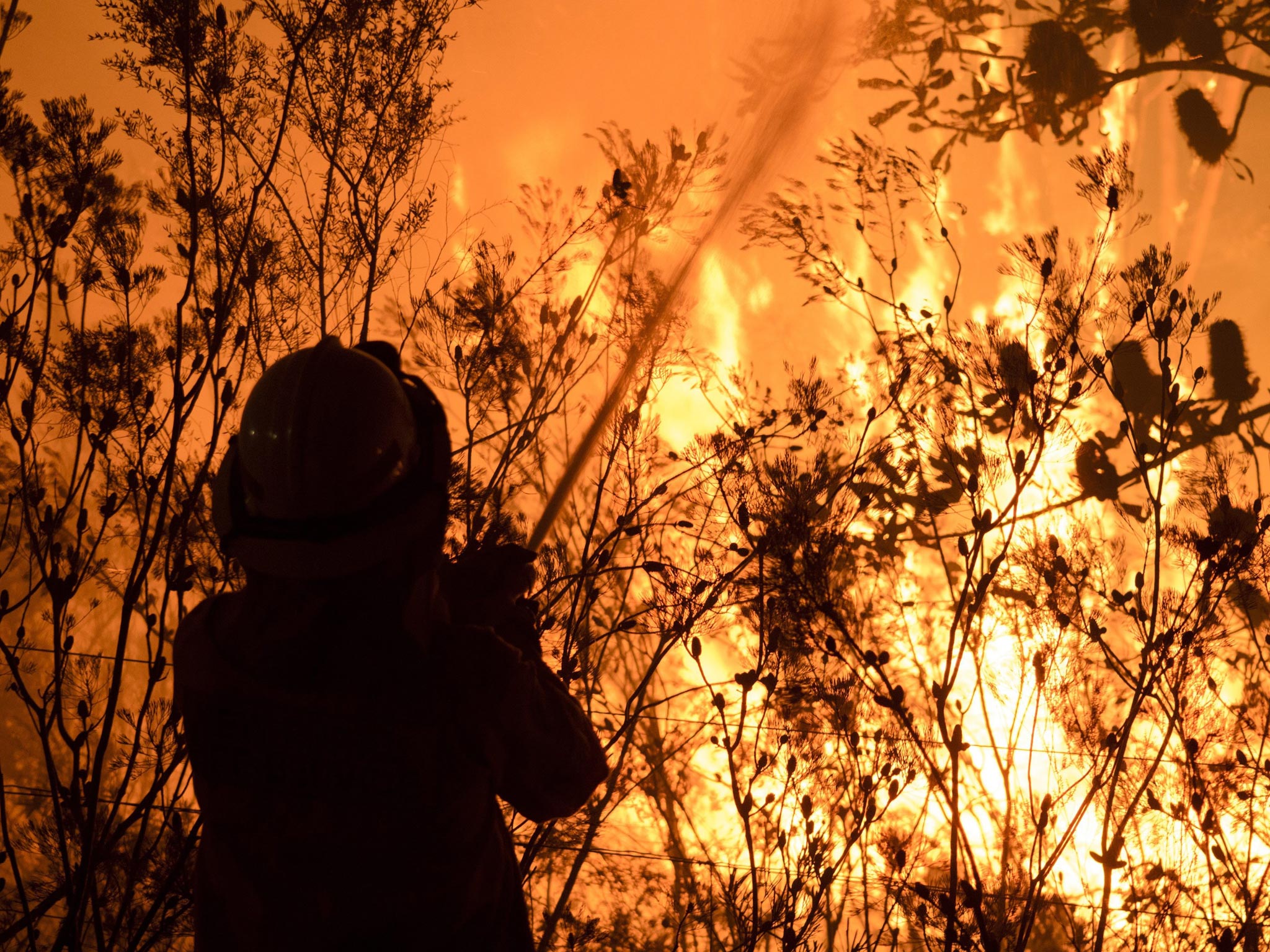 A firefighter attempts to extinguish a bushfire in Bilpin in the Blue Mountains