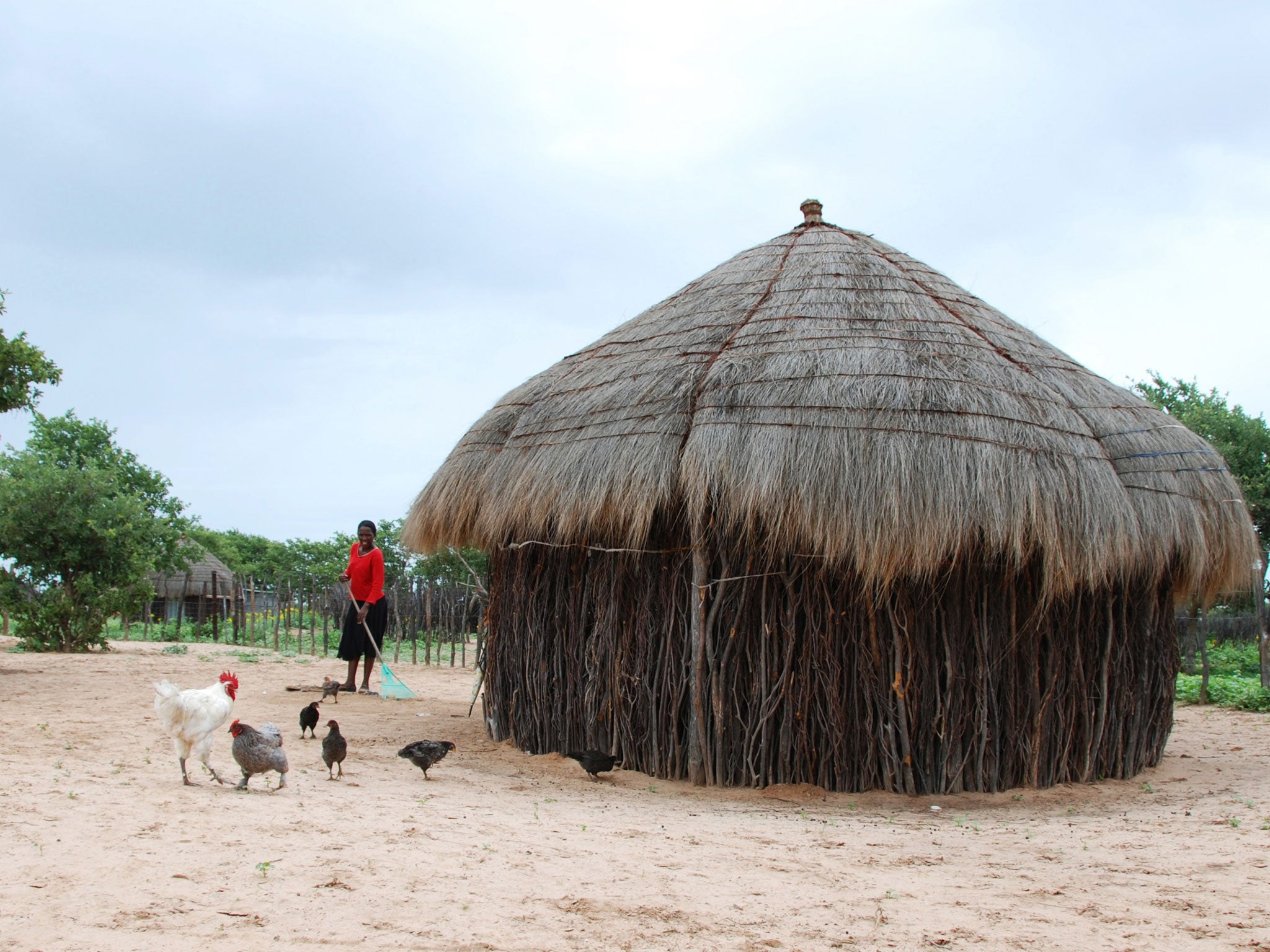 The village where the Bushmen live is threatened by the discovery of diamonds. Photo provided by Survival International