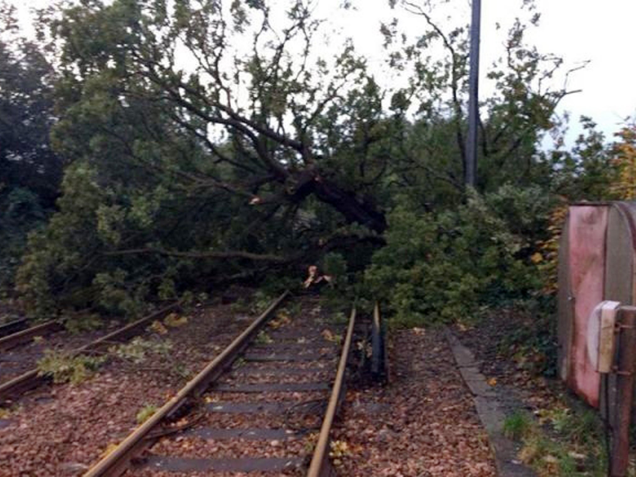 A photograph issued by Network Rail of a tree blocking the railway line at Keymer in West Sussex