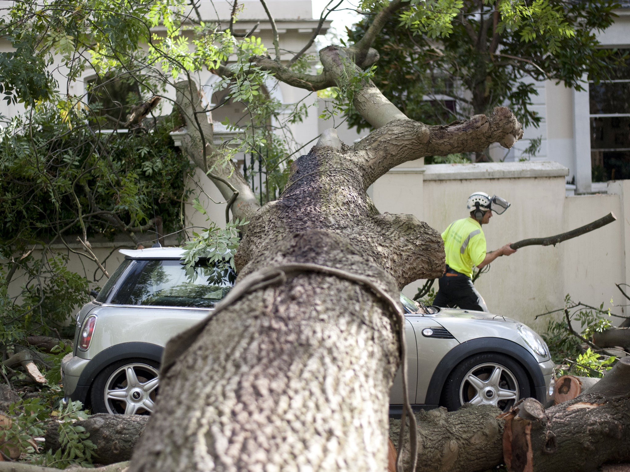 A contractor works on clearing the debris after a tree fell on car during the storm