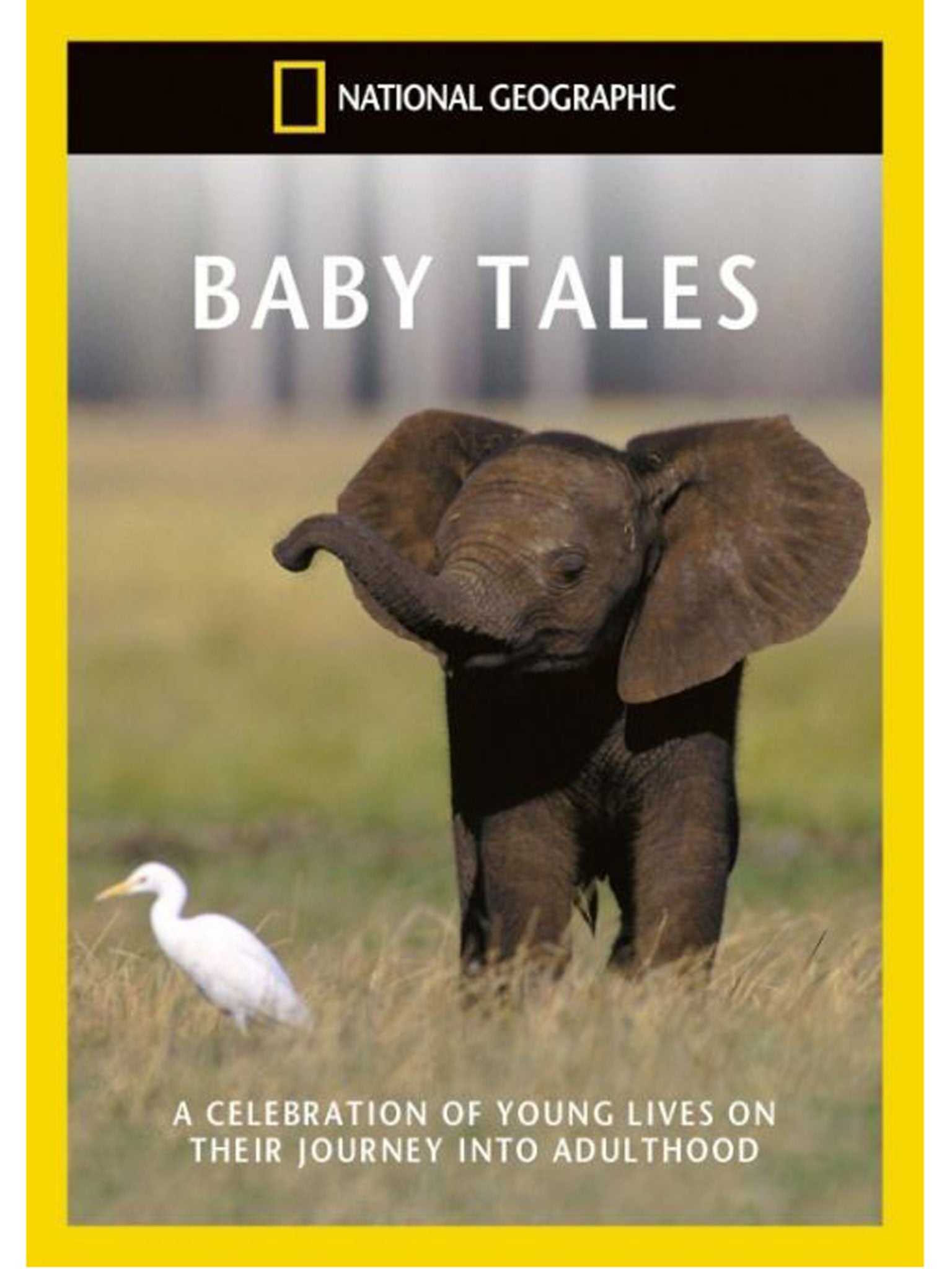 10 Best documentary box sets The Independent