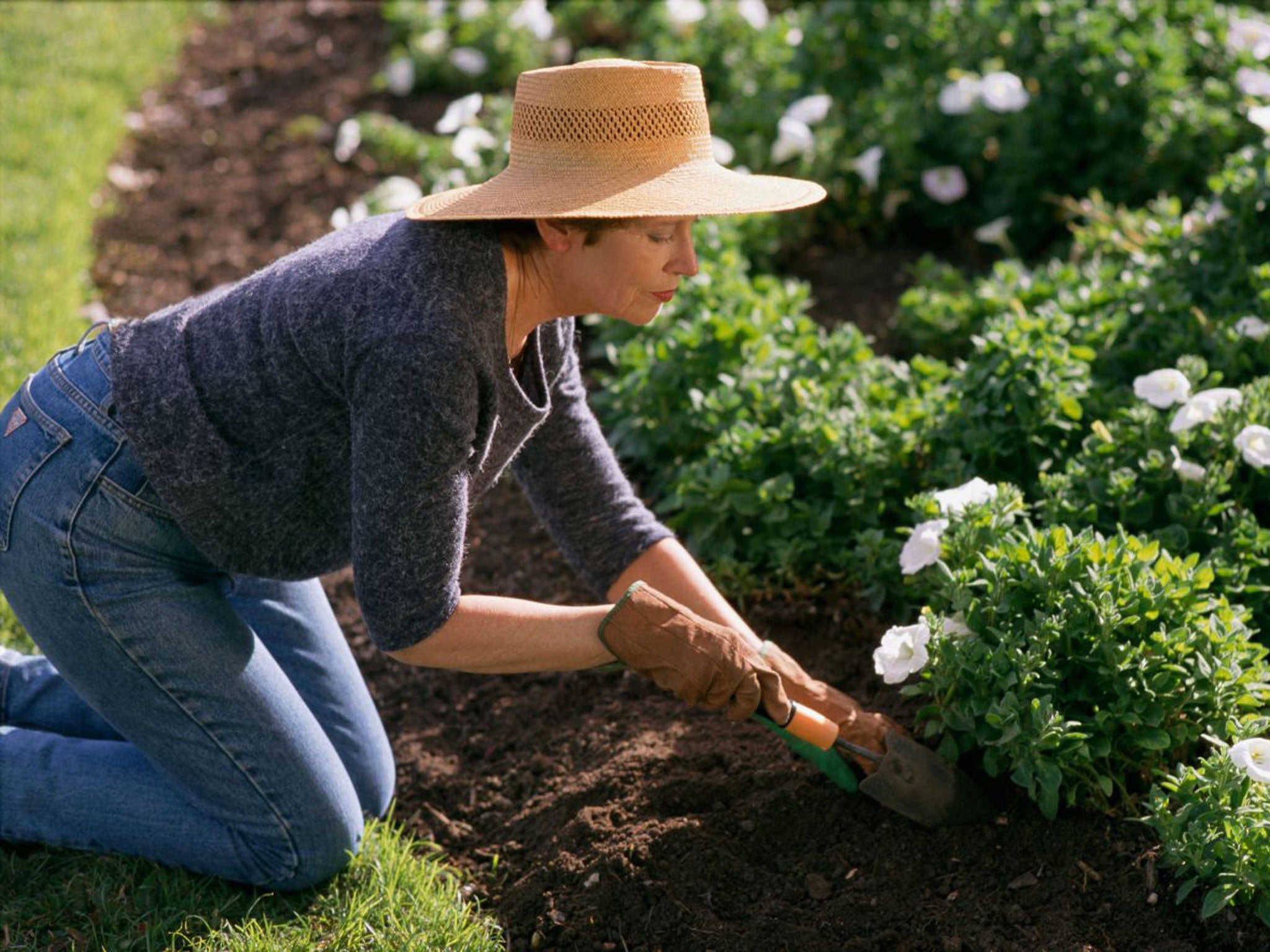 A spot of gardening is as good as rigorous exercise for fending off heart attacks and strokes