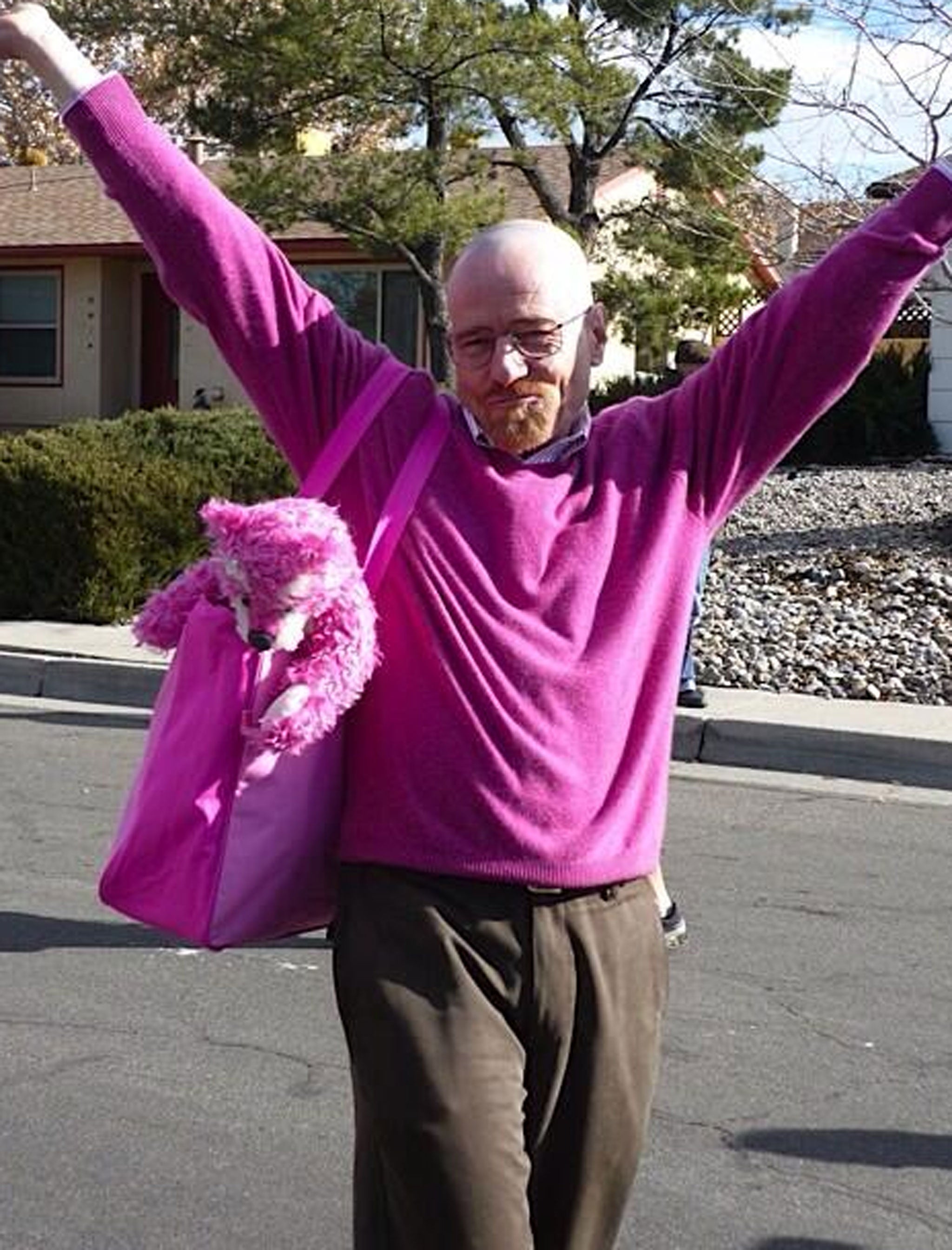 Breaking Bad Walter White really a Pink Man - The Independent