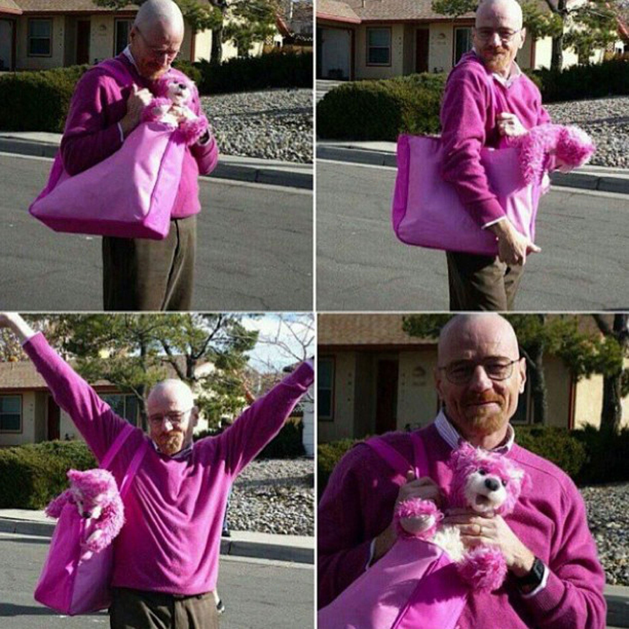 Image result for walter white pink