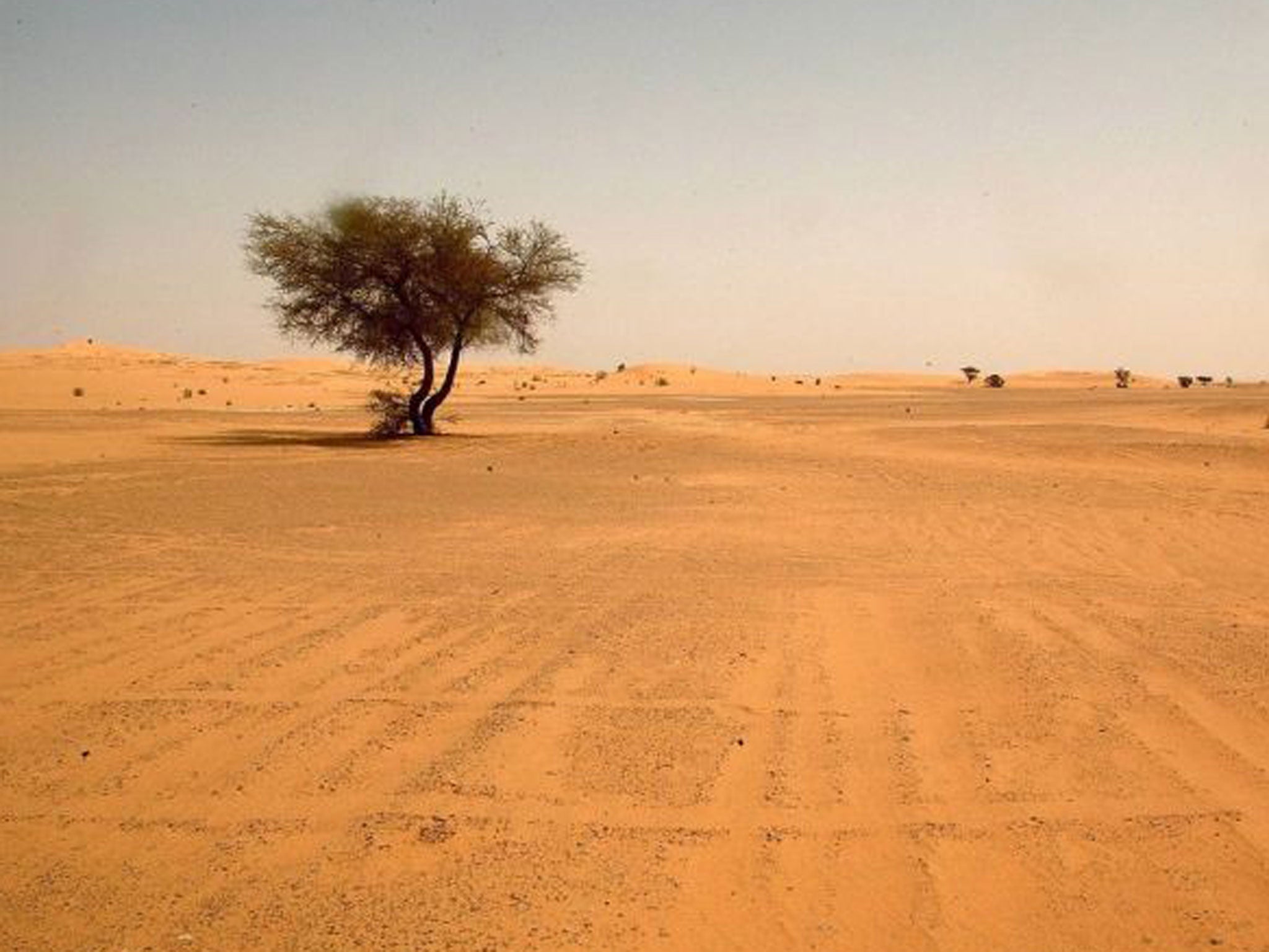 The Sahara Desert covers 10 per cent of the African continent 