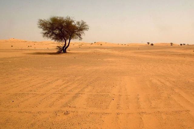 Landscape view dated May 2003 shows the Saharan desert in southern Algeria, near the city of Illizi. Dozens of Nigerien migrants heading for Algeria died of thirst in the desert south of the Sahara after their vehicle broke down, local officials said