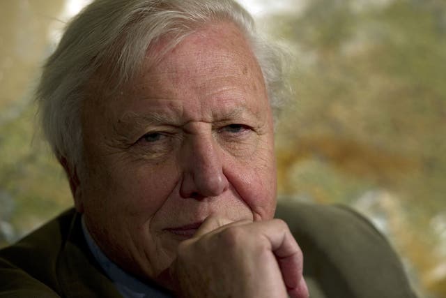 Sir David Attenborough: 'I promised I would do something'