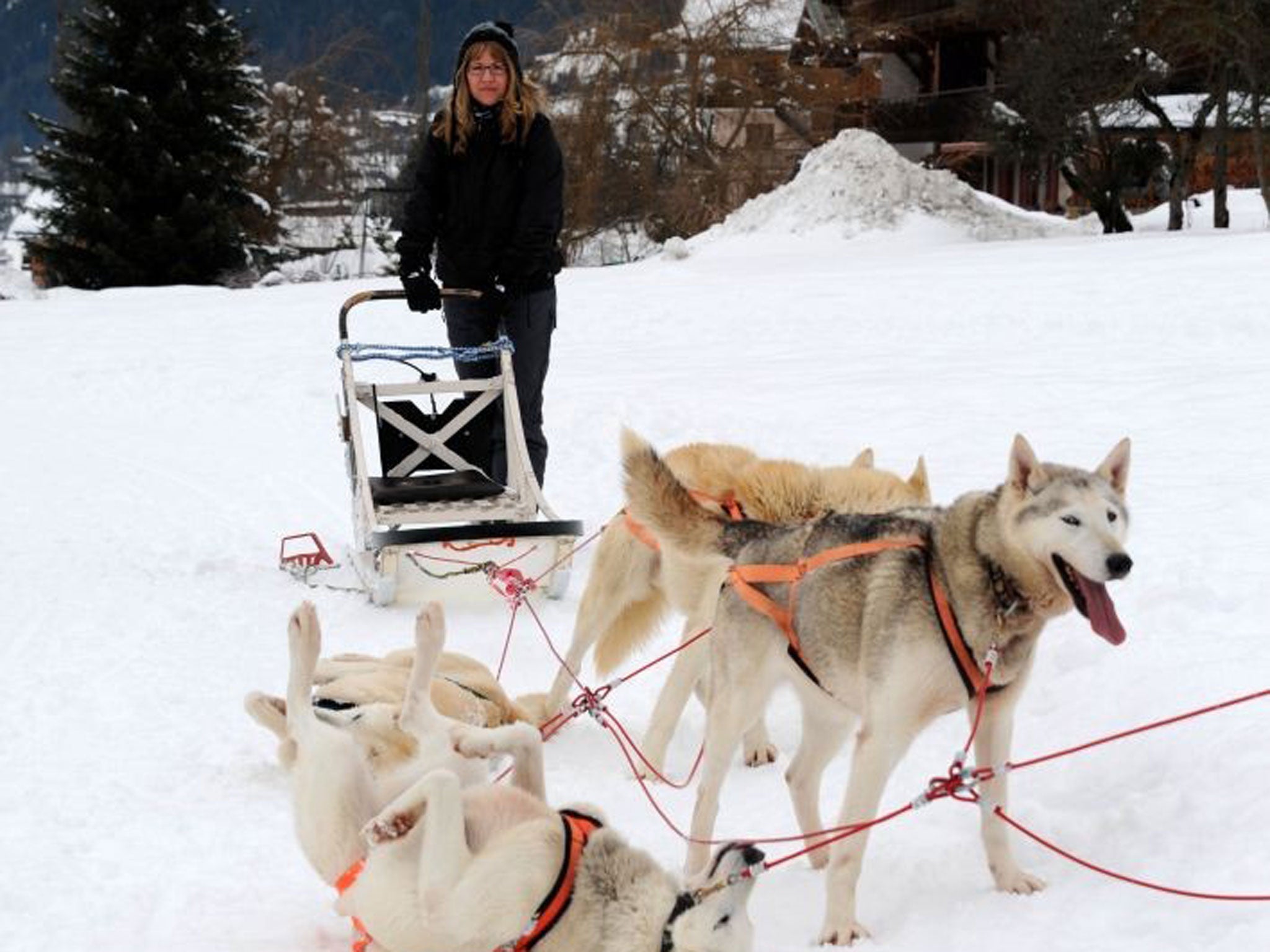 On the rails: sledding with the huskies / Adam Batterbee