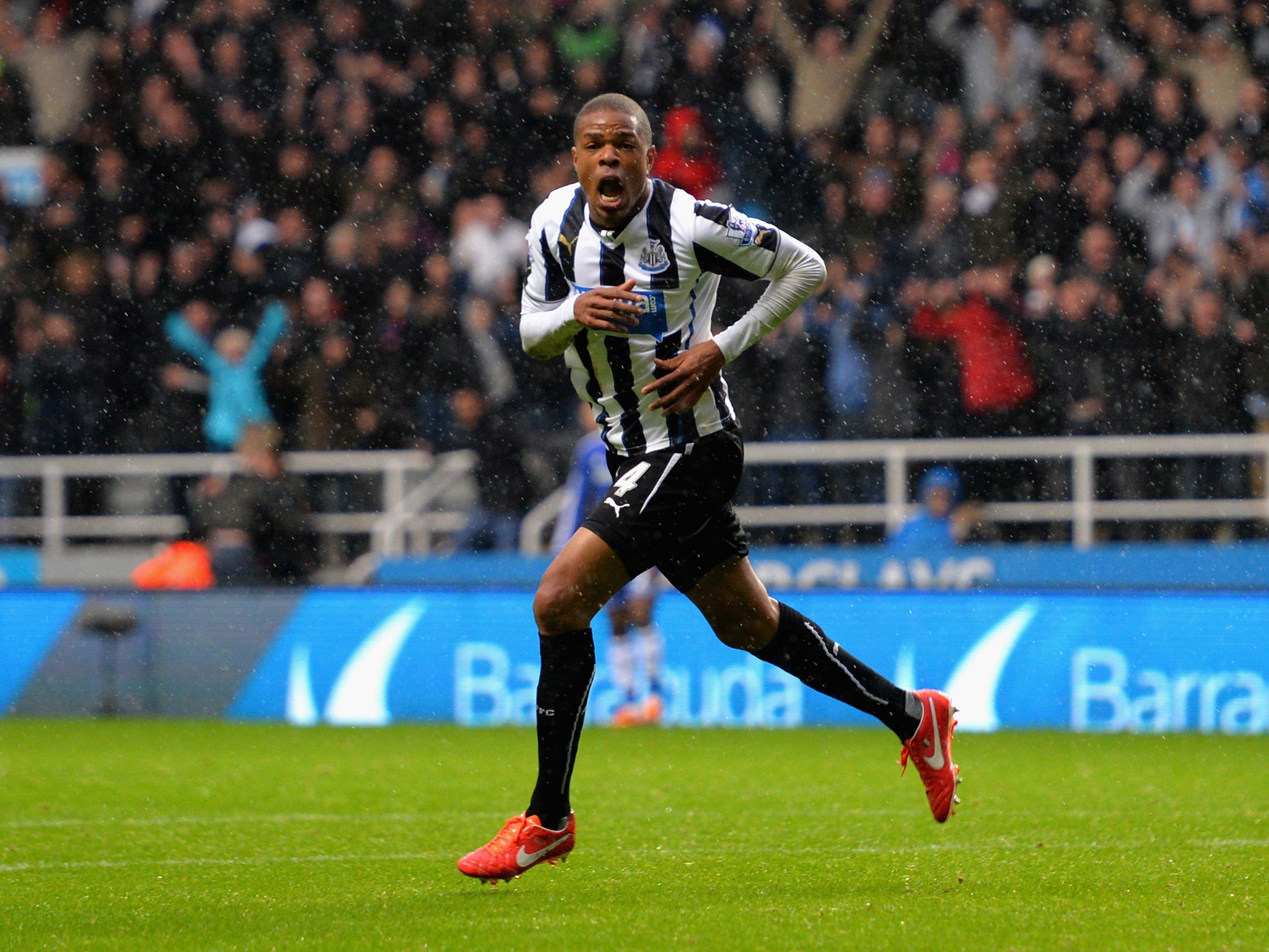 Loic Remy celebrates after he scures Newcastle's 2-0 victory over Chelsea