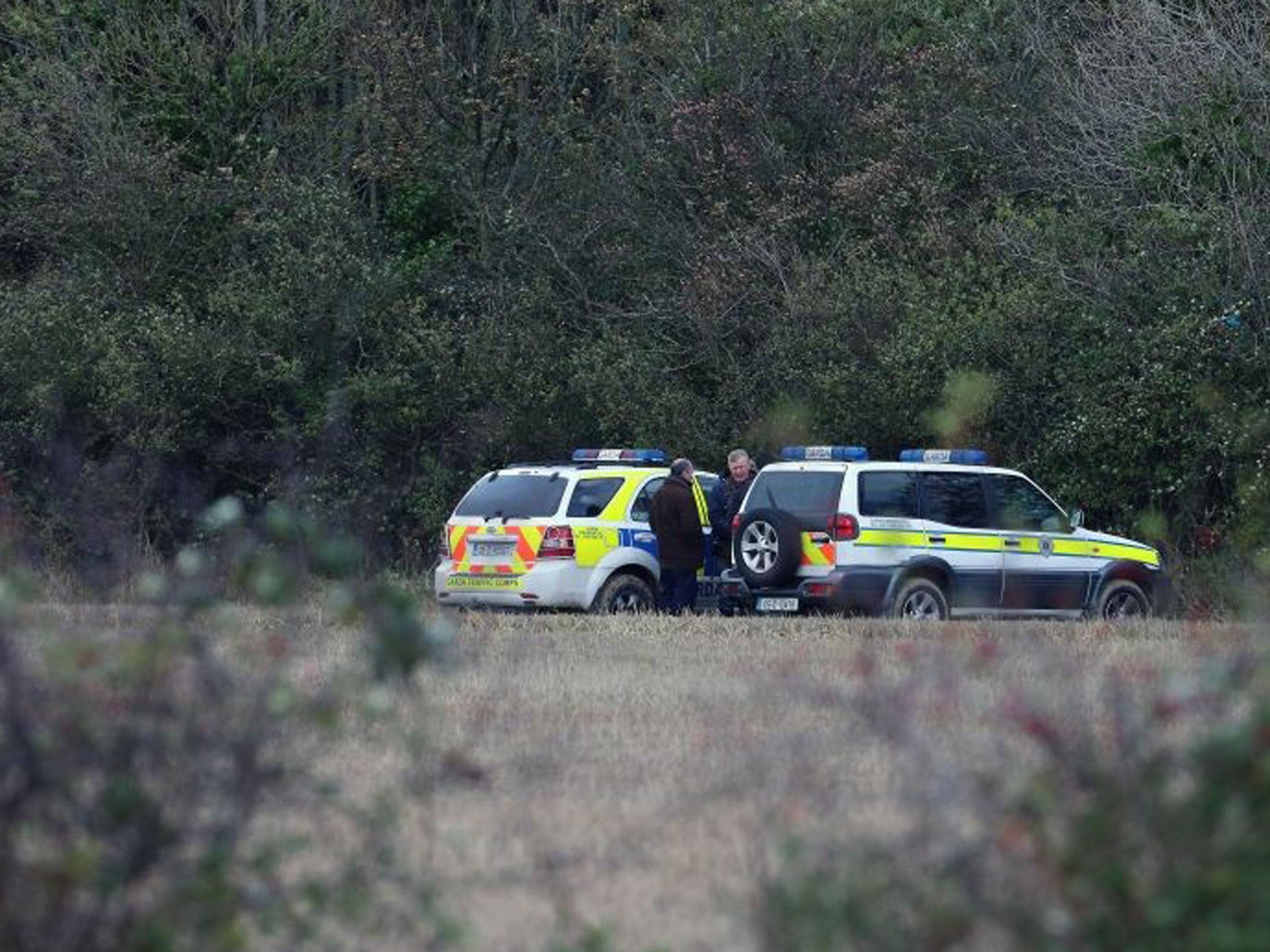 Gardai search woodland at the Mayne in Clonee, west Dublin, as detectives investigating the discovery of a human arm in the wooded area are continuing their search for other body parts.