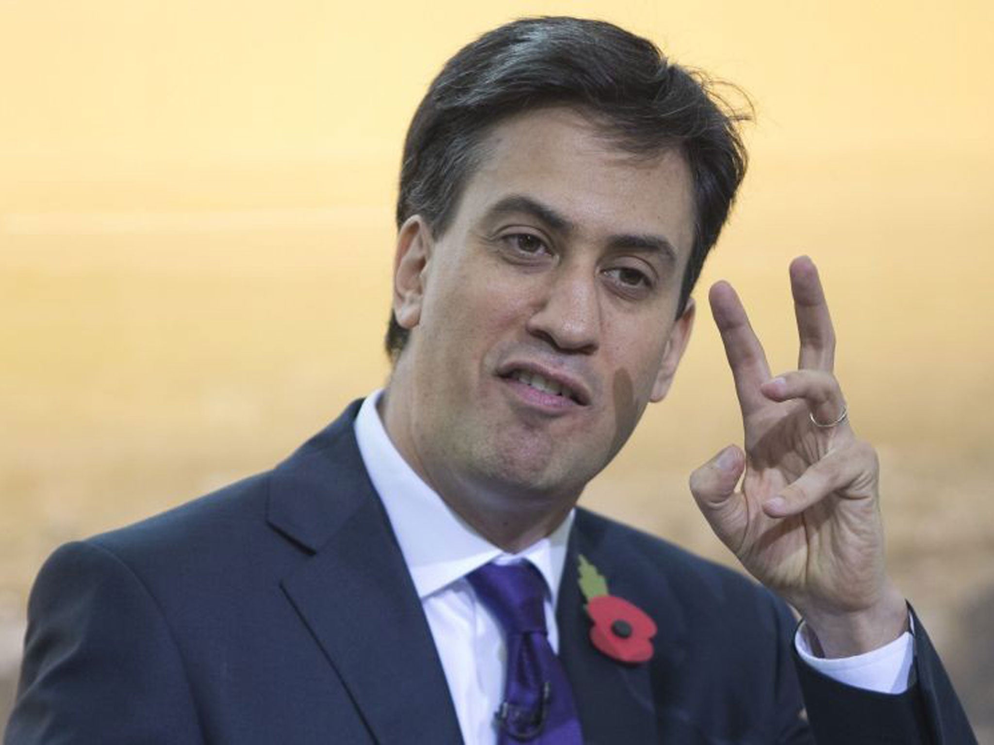 David Schneider has said that more people would vote for Ed Miliband if he was better looking