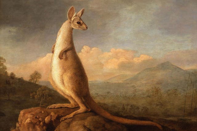 George Stubbs's painting of a kangaroo, "The Kongouro From New Holland", which gave the British public their first glimpse of a kangaroo