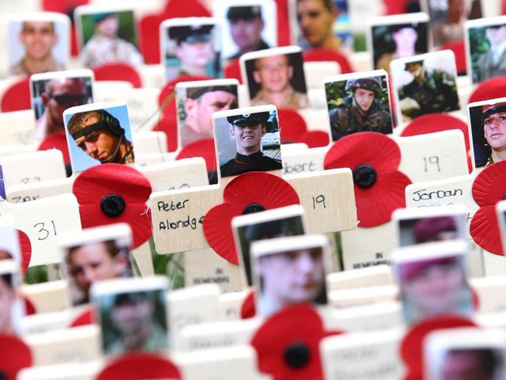 Photographs of the fallen are displayed on crosses adorned with poppies in the field of remembrance at Westminster Abbey