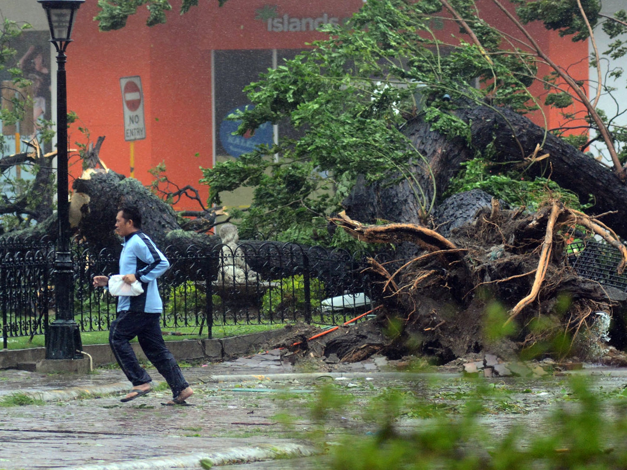 A resident runs past an uprooted tree amidst strong winds as Typhoon Haiyan pounded Cebu City, in central Philippines