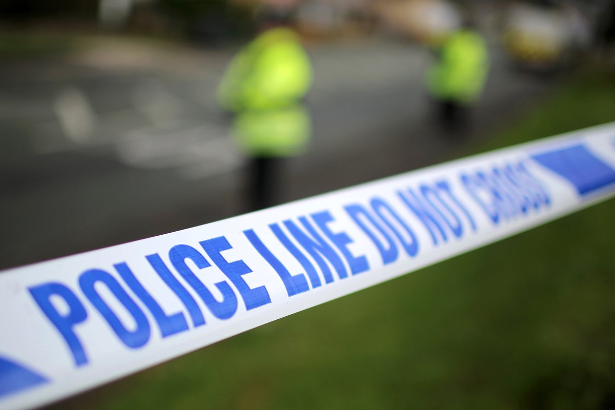 Two teens stabbed in ‘large scale fight’ involving 30 young people on high street