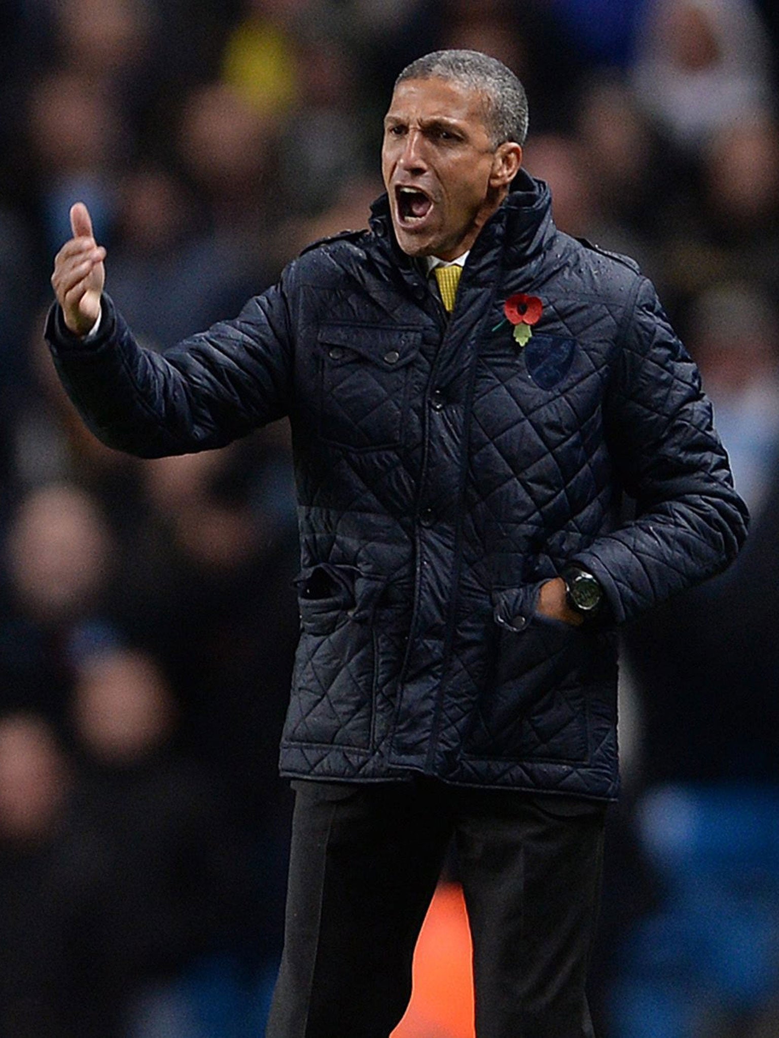 Norwich City's Chris Hughton is the Premier League's only black manager, while there are only two in the Football League