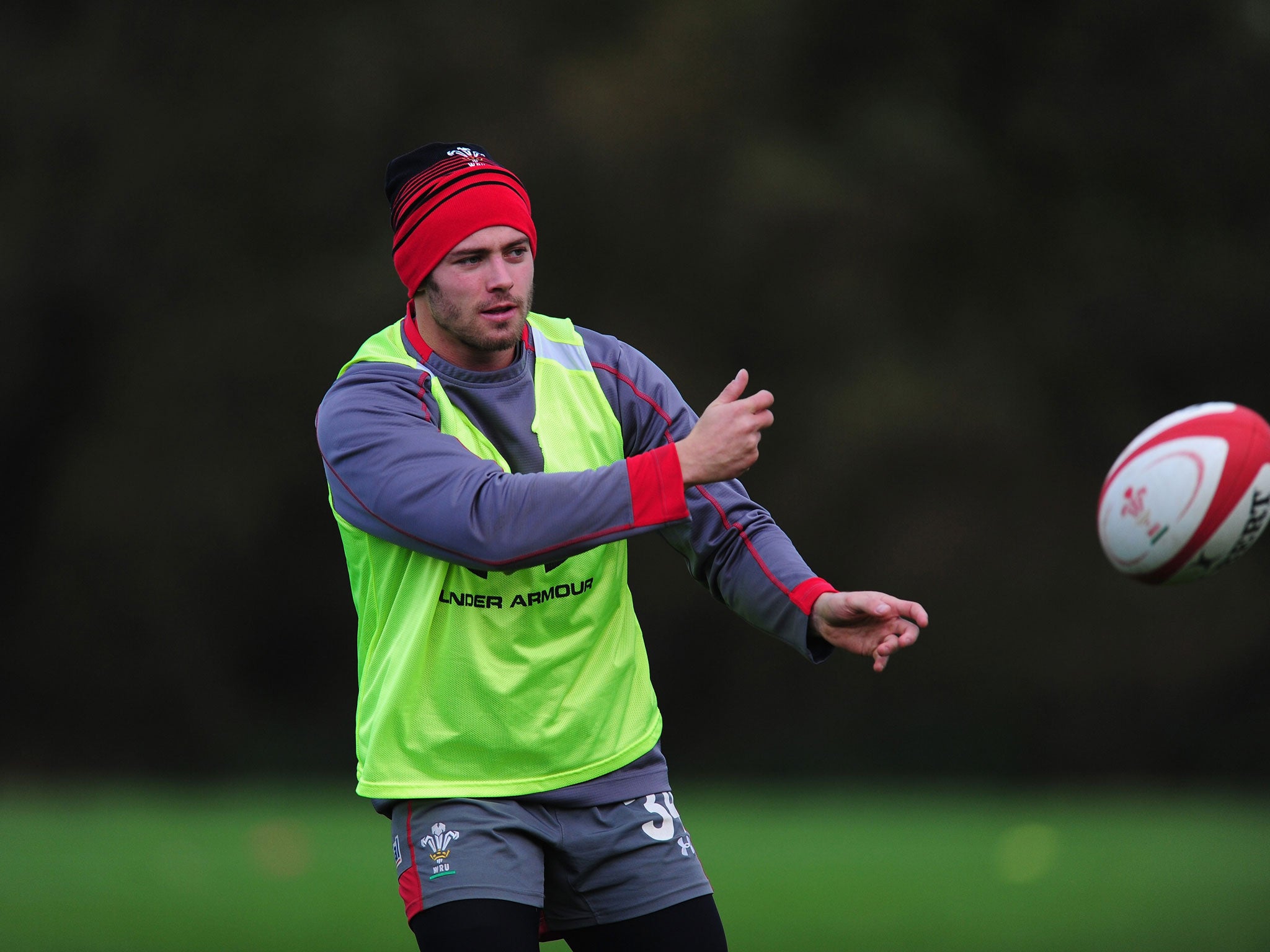 Leigh Halfpenny says: 'We really need to put out a statement' as they take on southern hemisphere teams