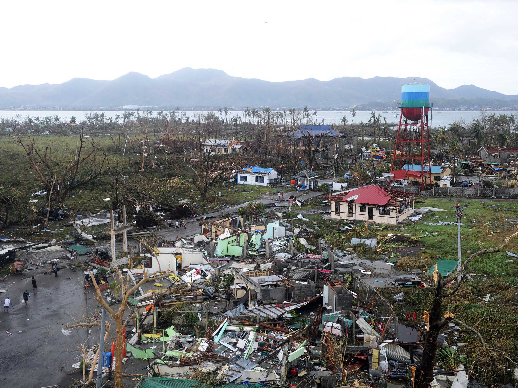 Fallen trees and destroyed houses in the aftermath of Super Typhoon Haiyan in Tacloban, eastern island of Leyte