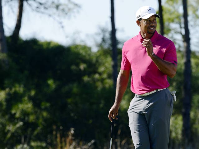 US golfer Tiger Woods is pictured during the third round of the inaugural Turkish Airlines Open in the southwest city of Antalya