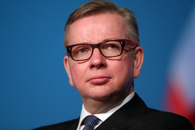 Education Secretary Michael Gove spent four months in care as a baby before he was adopted
