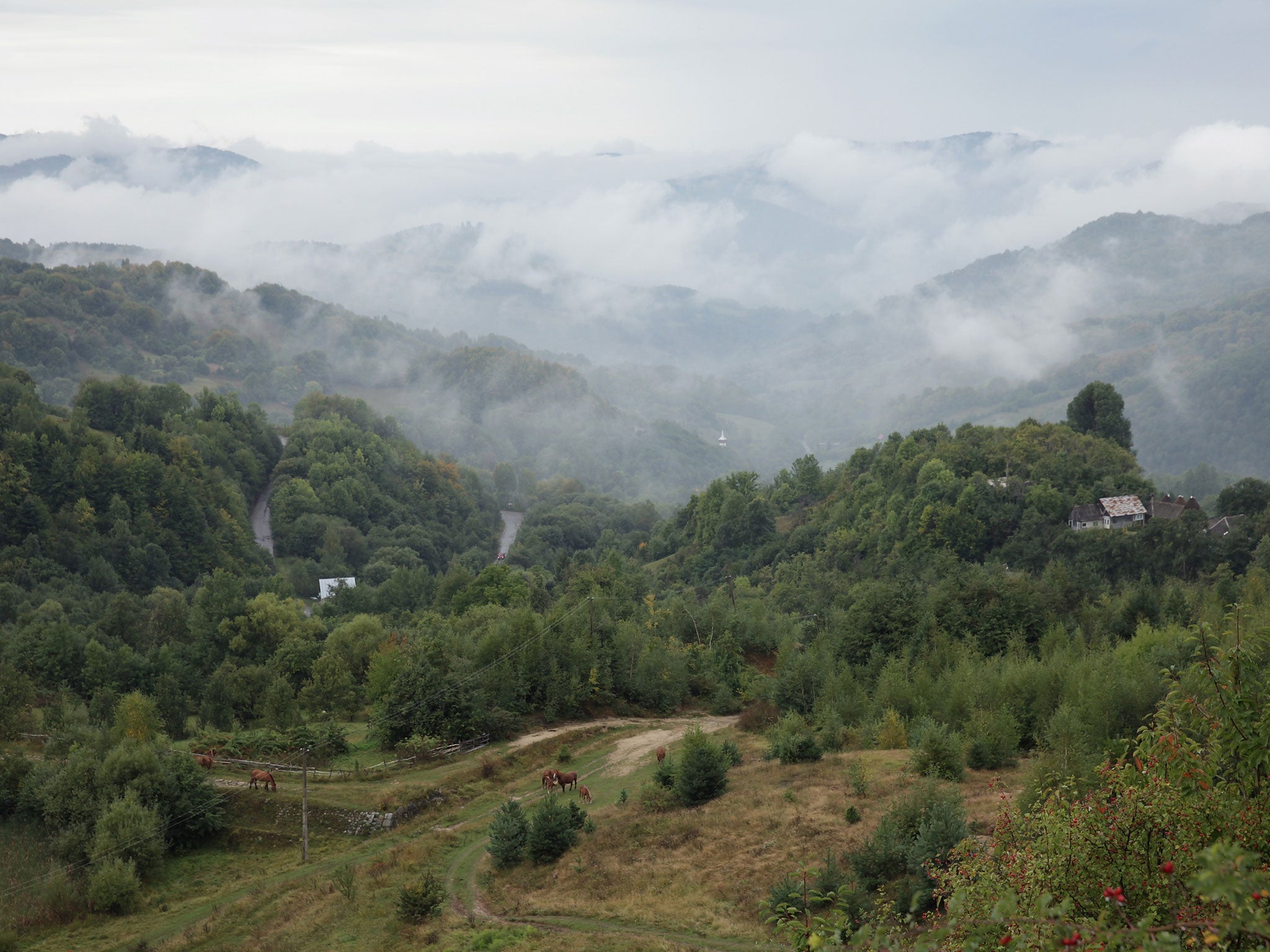 Carnic mountain is one of four in the immediate area that are rich in gold and silver deposits and that Rosia Montana Gold Corporation, which is majority-owned by the Canadian company Gabriel Resources, was seeking to exploit