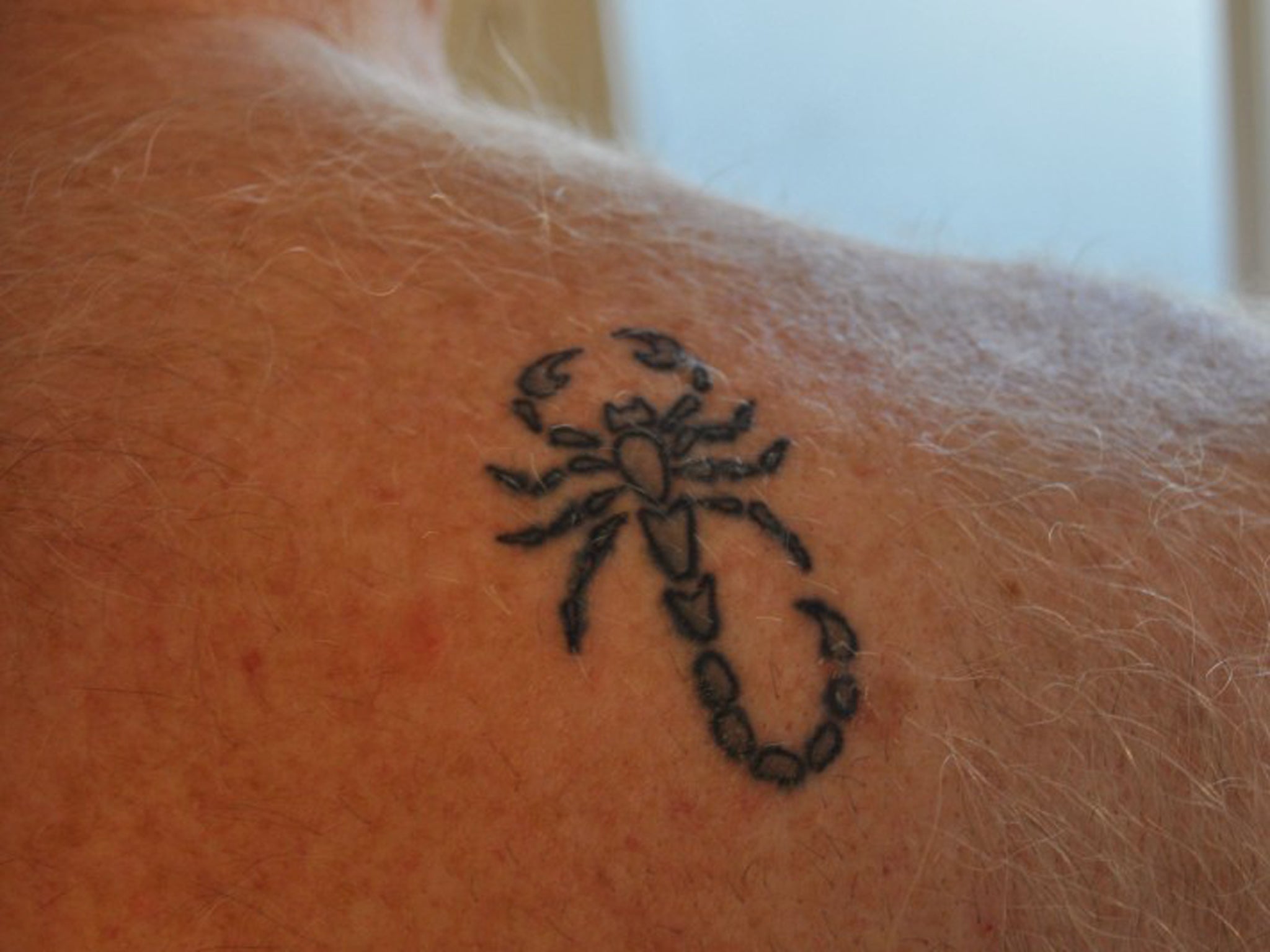 Dimbleby said: 'I'm rather fond of it actually, this little scorpion sitting on my shoulder ready to attack my enemies'