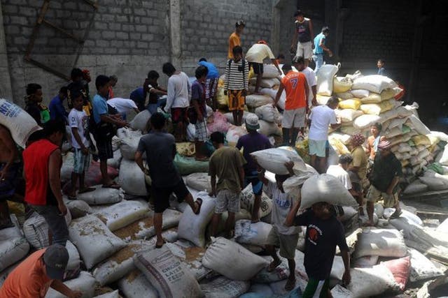 Residents loot water damaged sacks of rice from a rice warehouse in the aftermath of Super Typhoon Haiyan in Tacloban in the eastern Philippine island of Leyte on November 11, 2013. 
