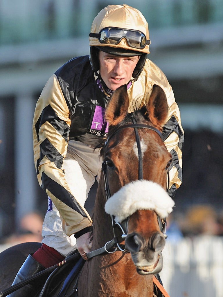 Tidal Bay won the bet365 Hurdle at Wetherby earlier this month