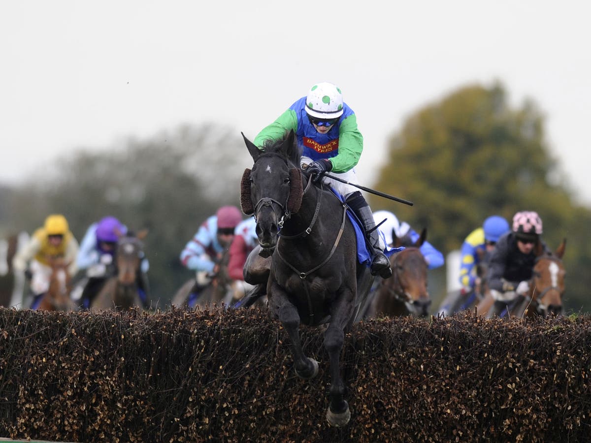 Standing Ovation offers a fitting curtainraiser for Cheltenham's Open