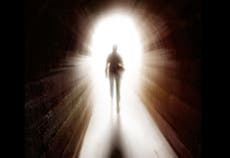 Is there an afterlife? The science of biocentrism can prove there is,