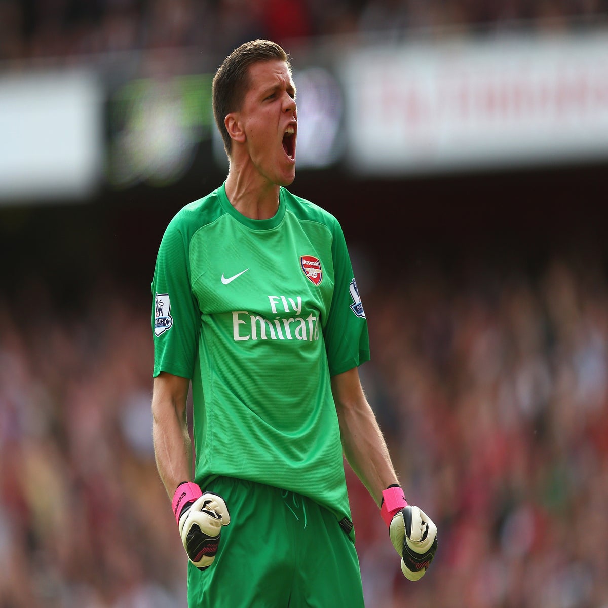 Every Arsenal goalkeeper since Wojciech Szczesny with Gunners set