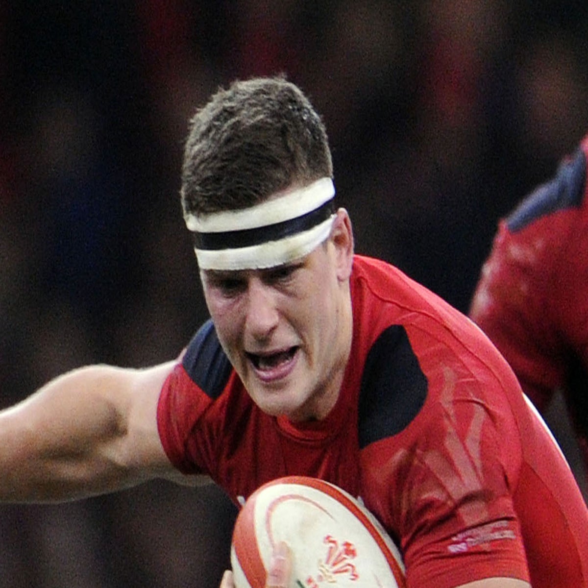 Scott Williams Rugby Player Ospreys Signing Scott Williams Greatest