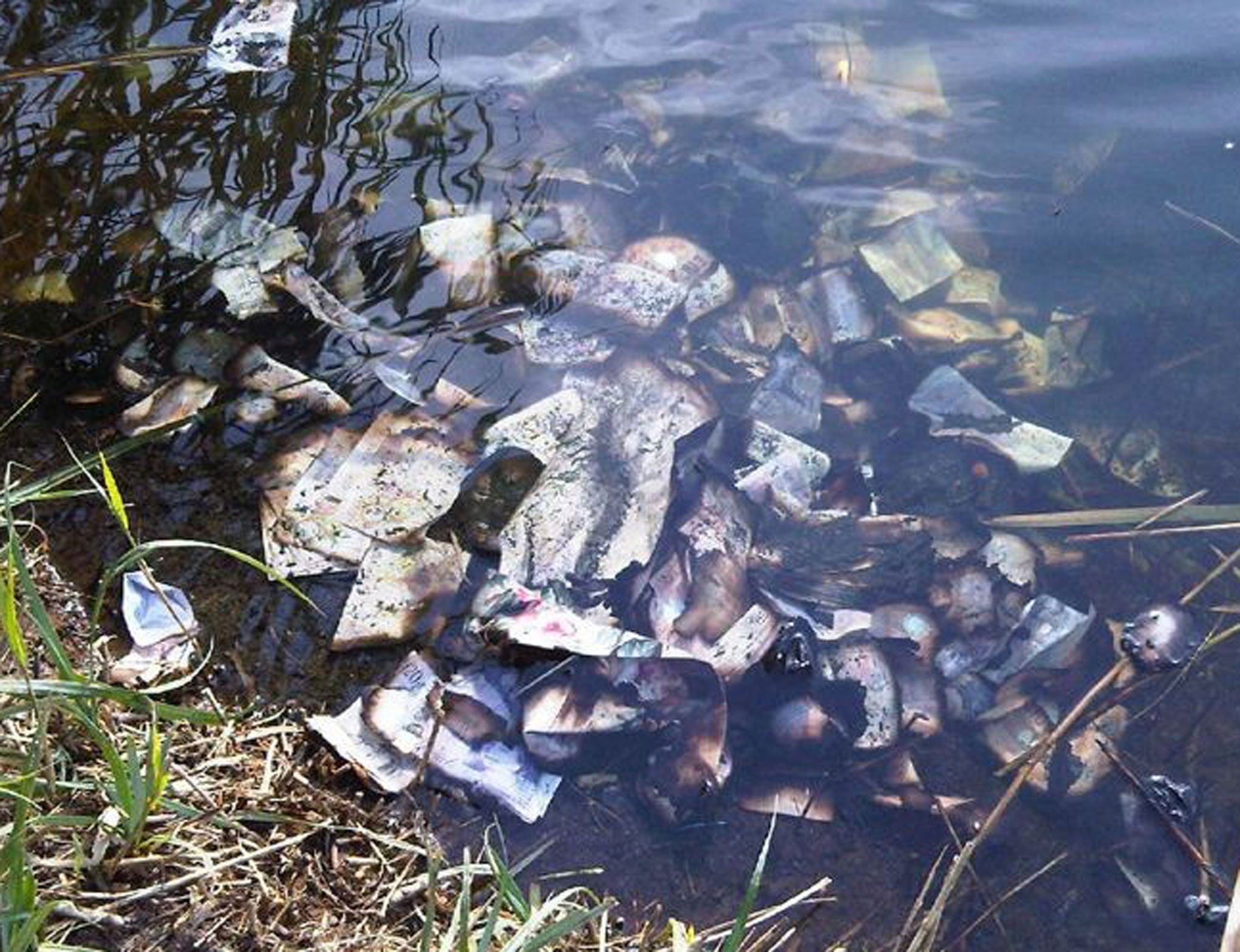 The notes were found in a river by a dog walker