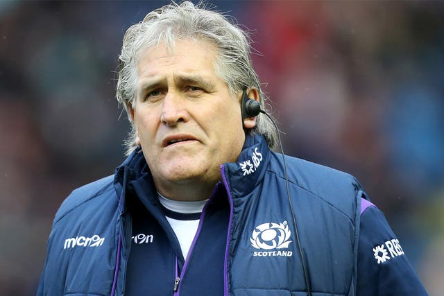Scott Johnson, Scotland’s interim head coach