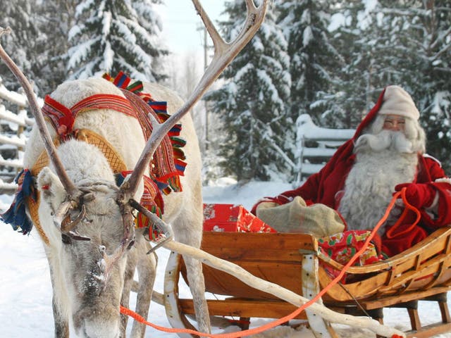 On the hoof: Santa and his reindeer in Rovaniemi, Finland